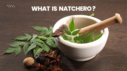 What is natchero